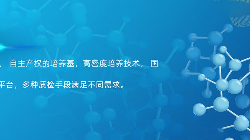 抗体药CDMO公司排名背后的考量因素