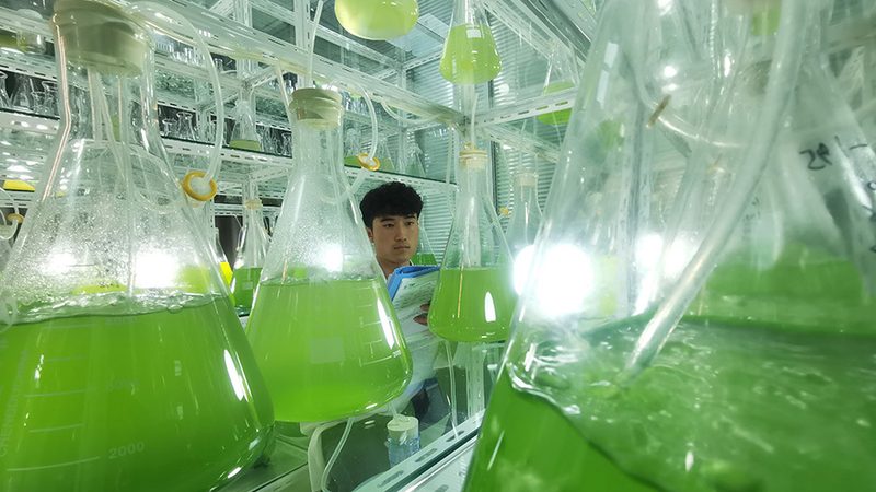 免疫试剂加盟：如何规避潜在风险，保障科研品质**