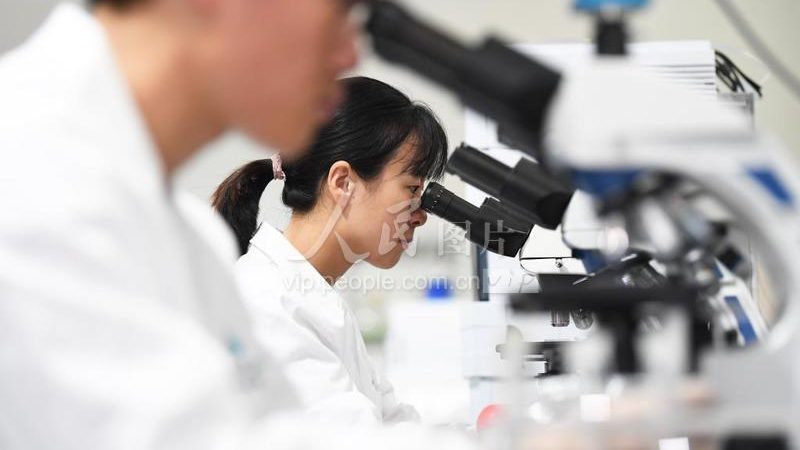 悬浮细胞培养：关键注意事项与实操要点
