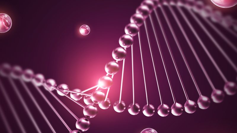 上海生物科技实验设备：揭秘其核心技术与选型要点**