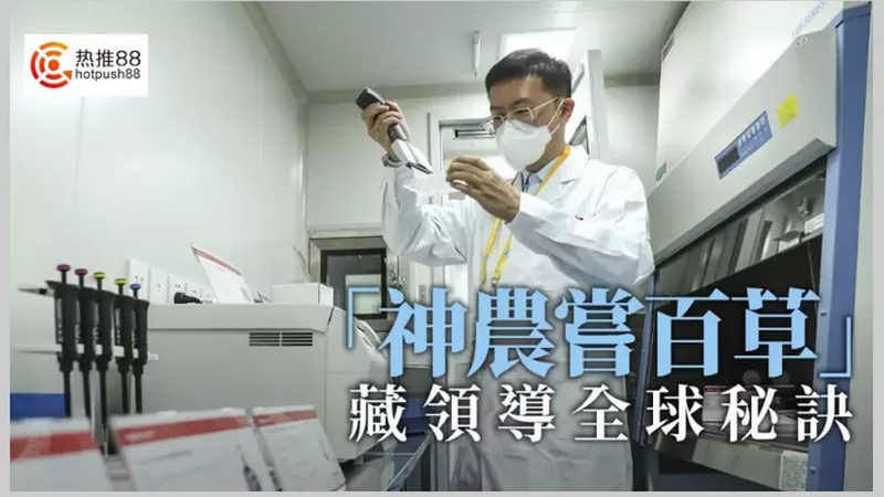 脂肪酶：揭秘其背后的生产奥秘与选择之道**