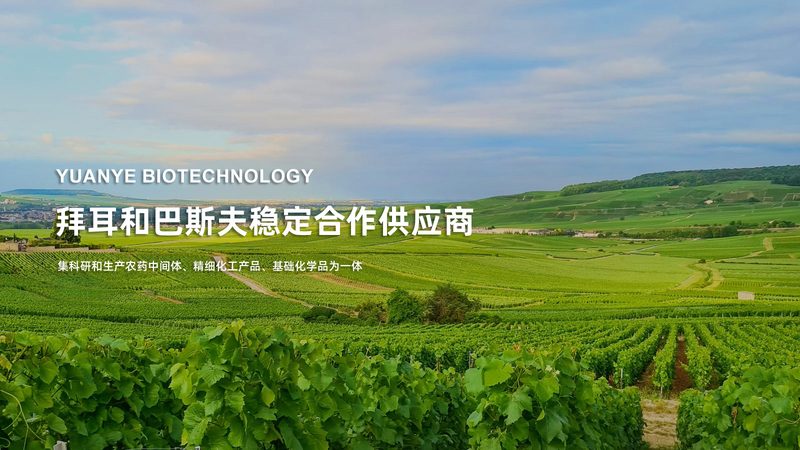 PCR体系配制试剂规格：揭秘高效实验背后的关键