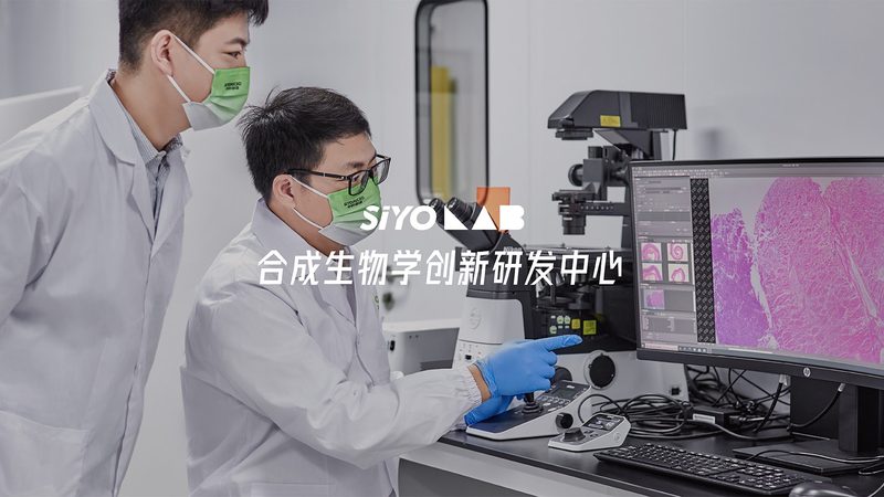 CDMO选型评估：揭秘医药研发背后的关键环节