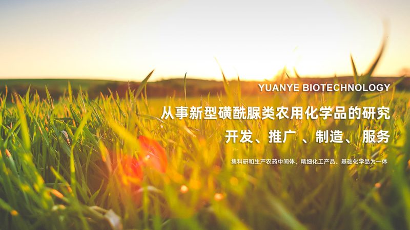 体外诊断试剂：揭秘其生产与行业排名背后的逻辑