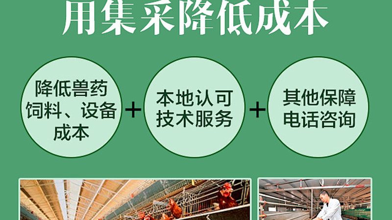 医用细胞工厂材质要求：如何确保细胞培养的纯净与安全**