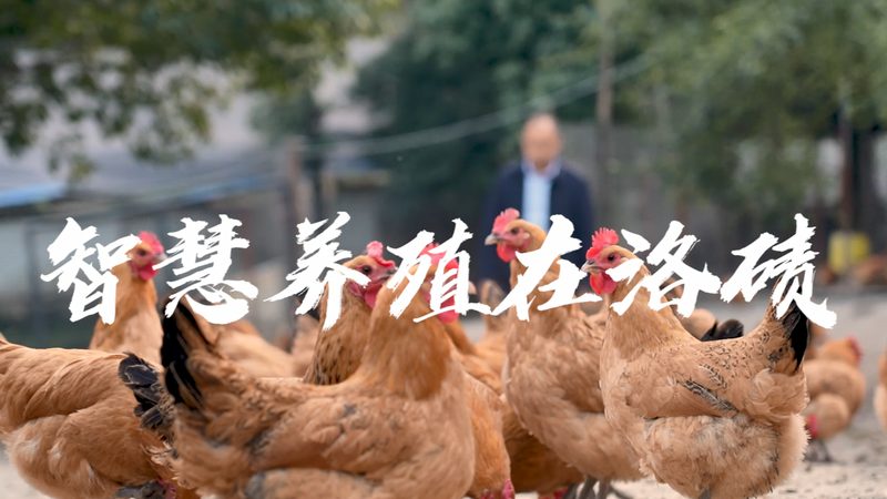 生物制品与化学药品：临床使用中的关键区别